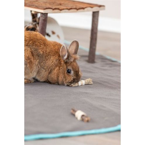 Trixie Set Sticks Met Luffa / Schorshout / Zeegras