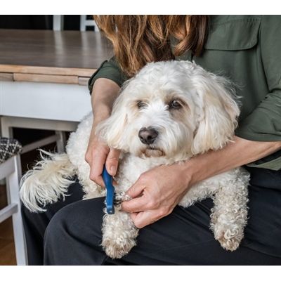 Mikki Doodle De-Matter