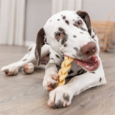 Trixie Buffelkophuid Gevlochten