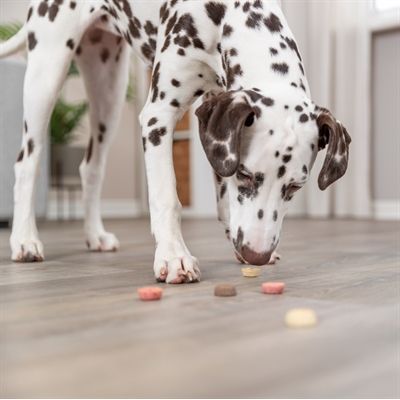 Trixie Vegan Cookie Snack Loops
