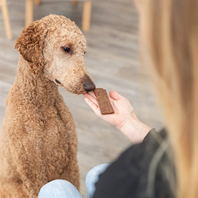 Trixie Premio Filets Lam