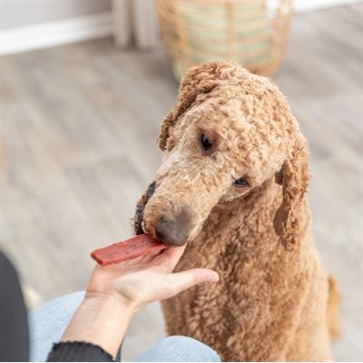 Trixie Premio Filets Rund