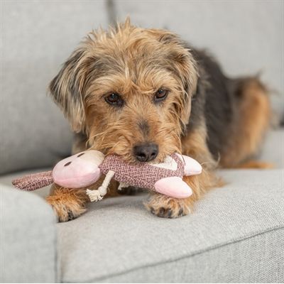 Trixie Haas Stof / Pluche