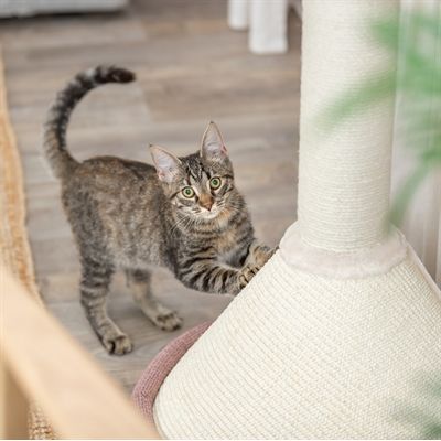 Trixie Krabpaal Viviana Rond Oudroze