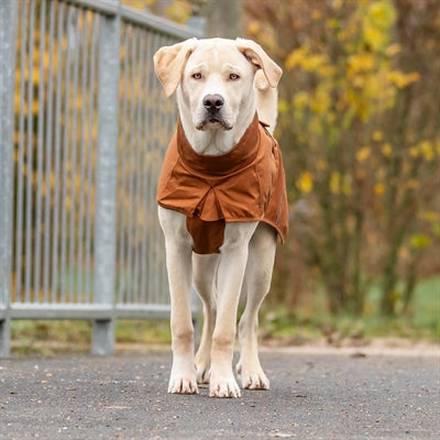 Trixie Citystyle Regenjas Hond Dublin Roest