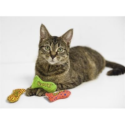 Yeowww Jug Of Stinkies