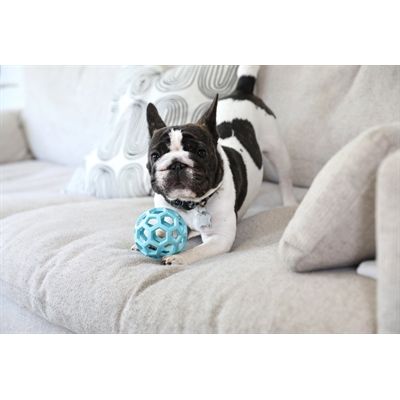 Jw Hol-Ee Roller Trend-Ee Blauw