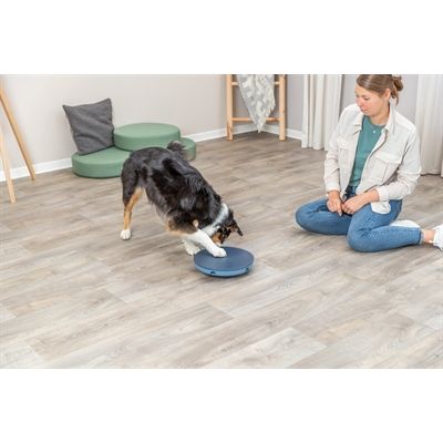 Trixie Dog Activity Rocking Maze Kunststof