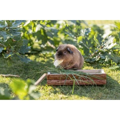 Trixie Voederblad Schorshout