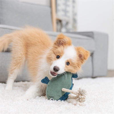 Trixie Vis Leer Met Touw