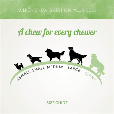 Antos Chicken D'light Flags