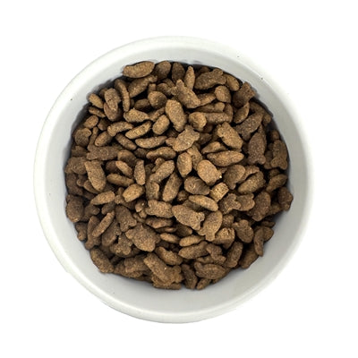 Budget Premium Quality Fish