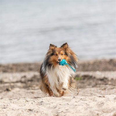 Trixie Honingraat Bal Aan Touw Tpe