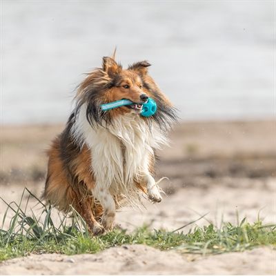 Trixie Honingraat Bal Aan Touw Tpe