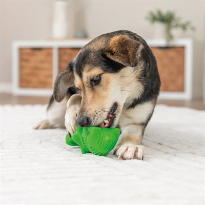 Trixie Snack Krokodil Natuurrubber Groen