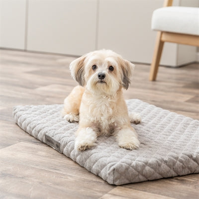 Trixie Hondenkussen Noah Vital Lichtgrijs