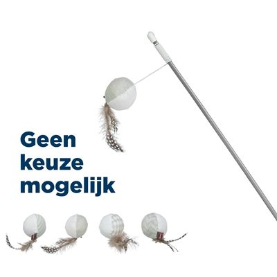Trixie Kattenhengel Bal Met Veren Met Catnip