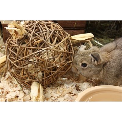 Nature First Happy Pet Speelbal Wilg Nature First