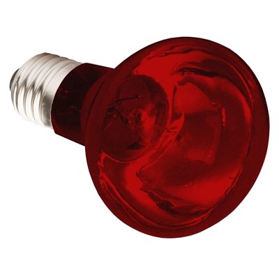 Komodo Infrarood Warmtelamp Es