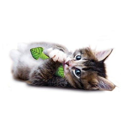 Petstages Fresh Breath Mint Stick