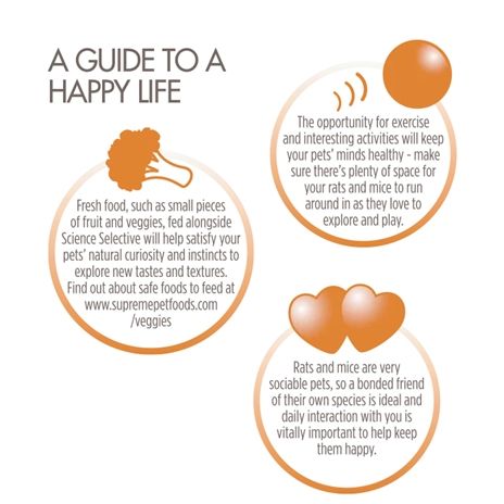 Supreme Science Selective Rat / Mouse